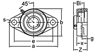 Set Screw Locking Two-Bolt Flange Unit, BFT200 Series-2