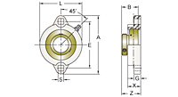 Set Screw Locking Two-Bolt Flange Unit, BLX200MZ2 Series-2