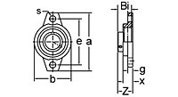 Eccentric Collar Locking Two-Bolt Flange Unit, KFL000 Series-2