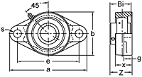 Set Screw Locking Two-Bolt Flange Unit, UCFL200 Series-2