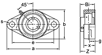 Set Screw Locking Two-Bolt Flange Unit, UCFL300 Series-2