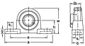 Set Screw Locking Pillow Block Unit, BLLP200 Series-2