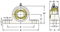 Set Screw Locking Pillow Block Unit, UCPPL200MZ2 Series-2