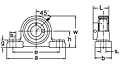 Eccentric Collar Locking Pillow Block Unit, UGAO300 Series-2