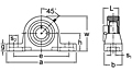 Eccentric Collar Locking Pillow Block Unit, UGPU300 Series-2